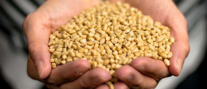 斯道拉恩索推出生物复合材料作为塑料的可再生替代品-复合材料网