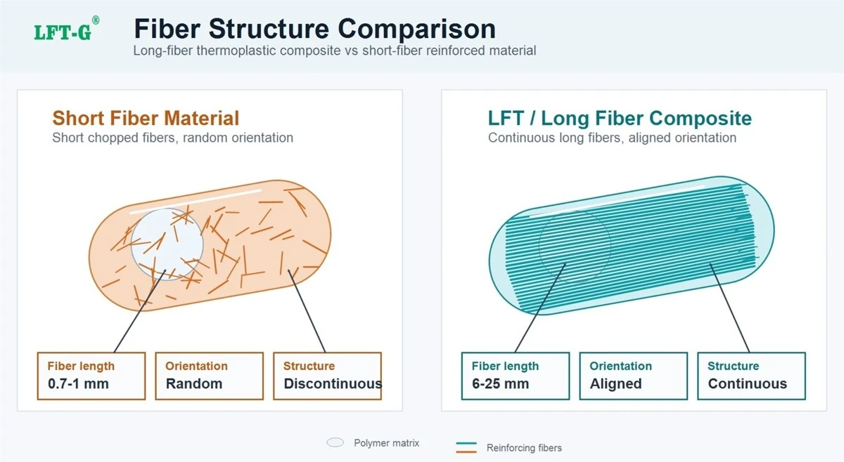 lft long fiber-vs-short-fiber-internal-structure-v2 from Xiamen LFT lft long fiber-vs-short-fiber-internal-structure-v2 from Xiamen LFT